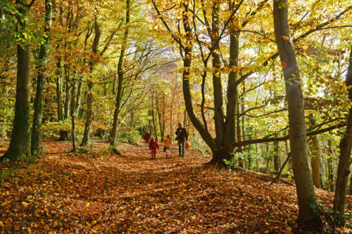Natural capital finance